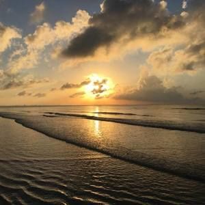 Meet your Posher, Roxanne